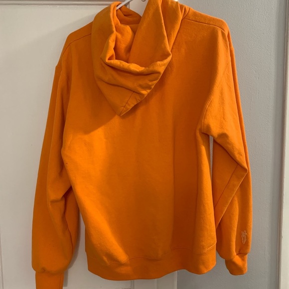 Carrots x Champion - Picture 5 of 5